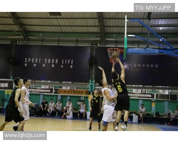 广州排球队在钻石联赛中的状态分析与表现评估